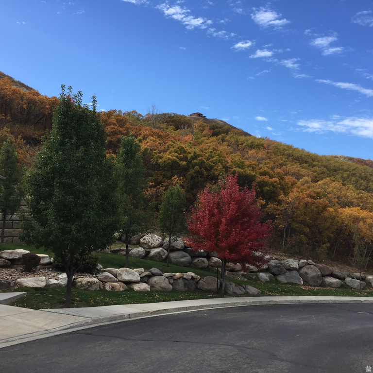 1370 E MEADOW VALLEY DR #24 Draper, UT 84020