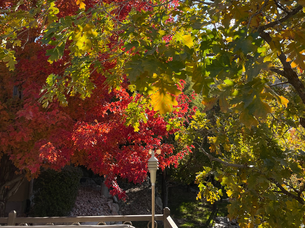 1370 E MEADOW VALLEY DR #24 Draper, UT 84020