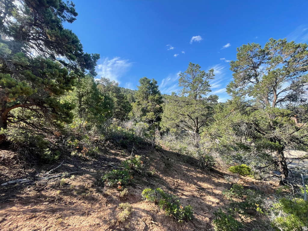 19 E HORSESHOE MTN ESTATE RNCH Spring City, UT 84662