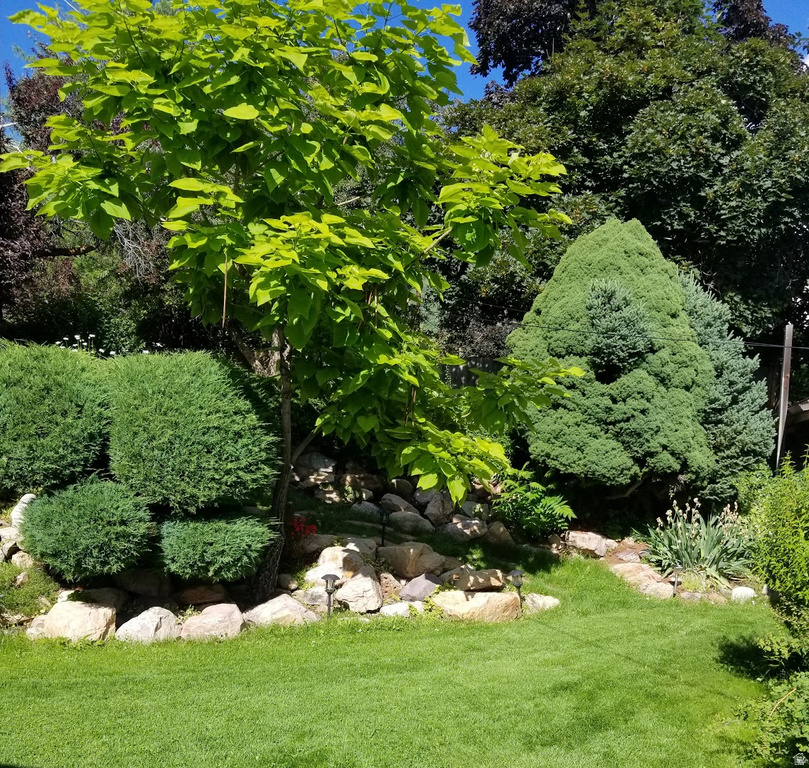 2567 E SIMPSON AVE Salt Lake City, UT 84109