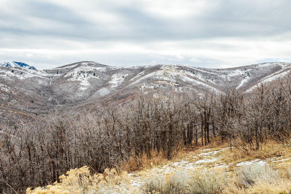 5855 E PIONEER RIDGE CIR Salt Lake City, UT 84108