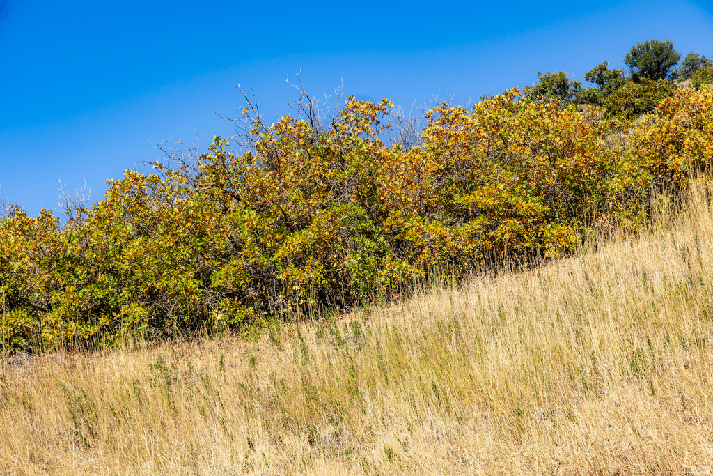 5855 E PIONEER RIDGE CIR Salt Lake City, UT 84108