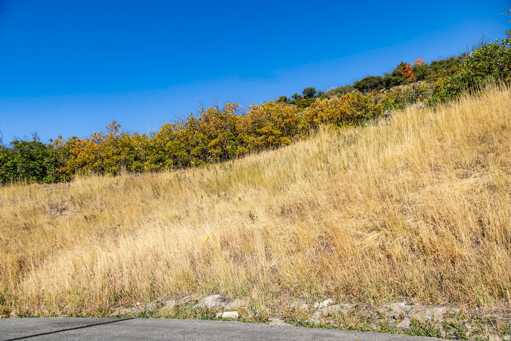 5855 E PIONEER RIDGE CIR Salt Lake City, UT 84108