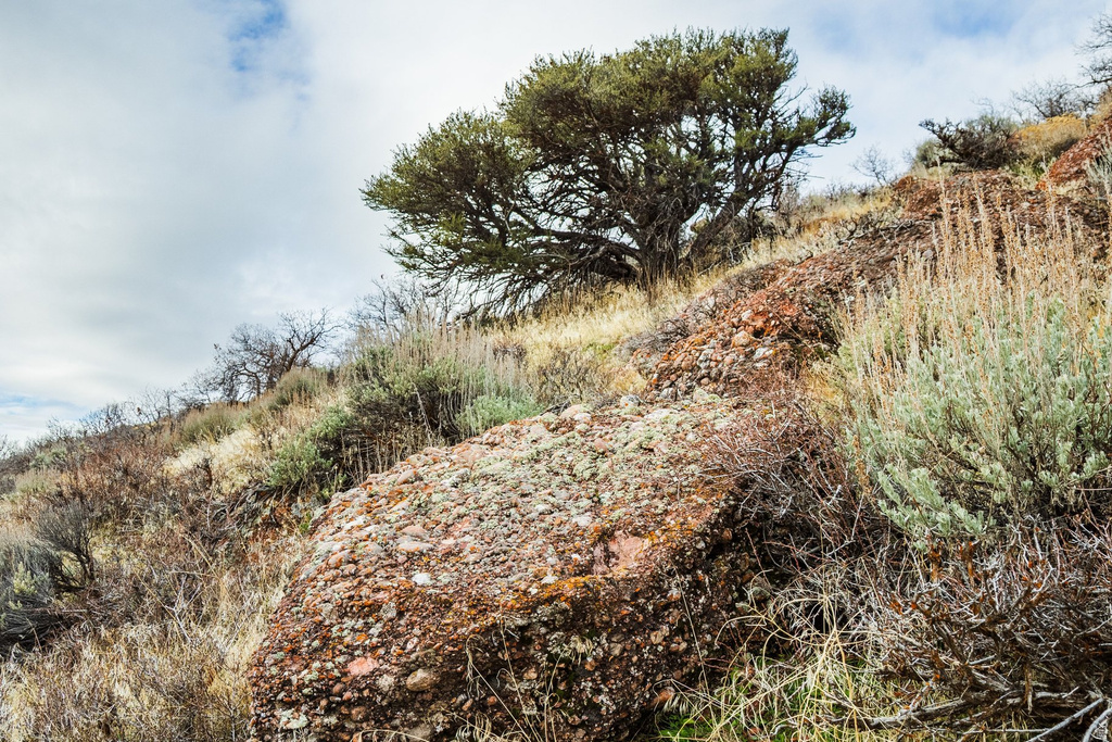 5855 E PIONEER RIDGE CIR Salt Lake City, UT 84108