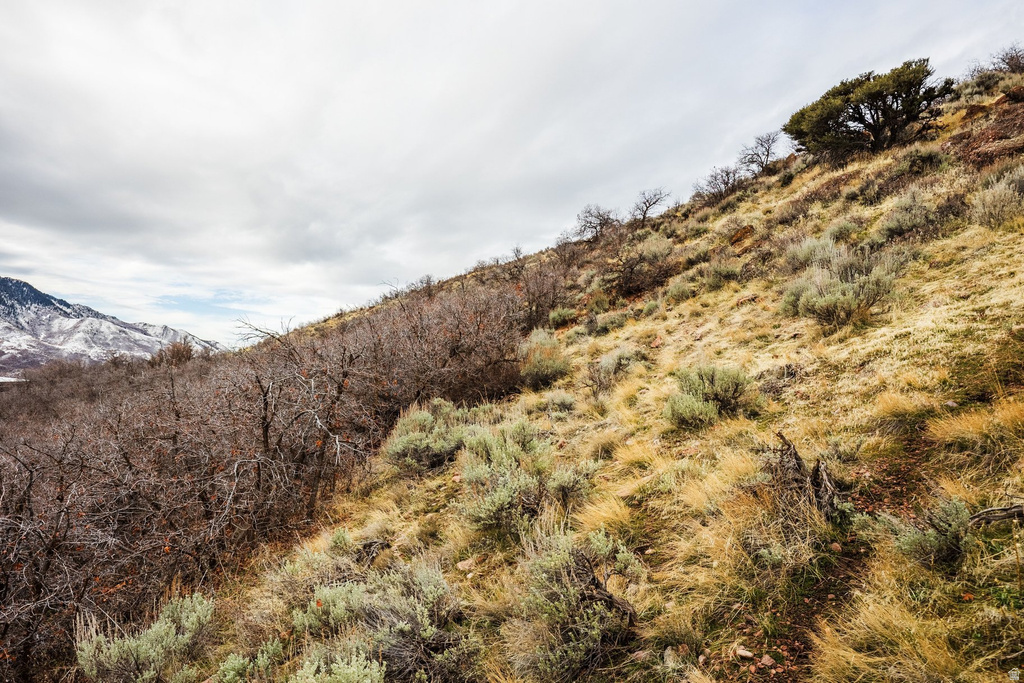 5855 E PIONEER RIDGE CIR Salt Lake City, UT 84108