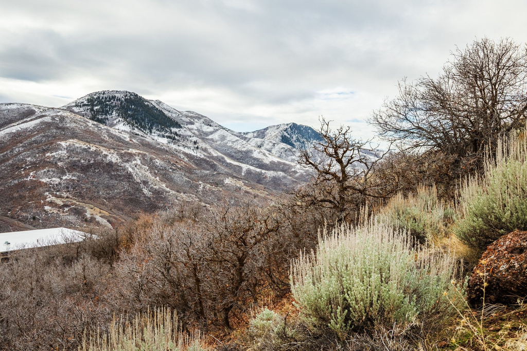 5855 E PIONEER RIDGE CIR Salt Lake City, UT 84108