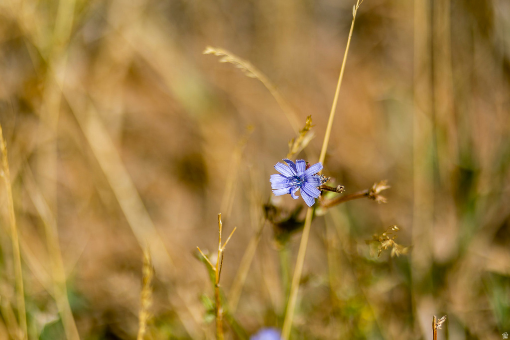 5855 E PIONEER RIDGE CIR Salt Lake City, UT 84108