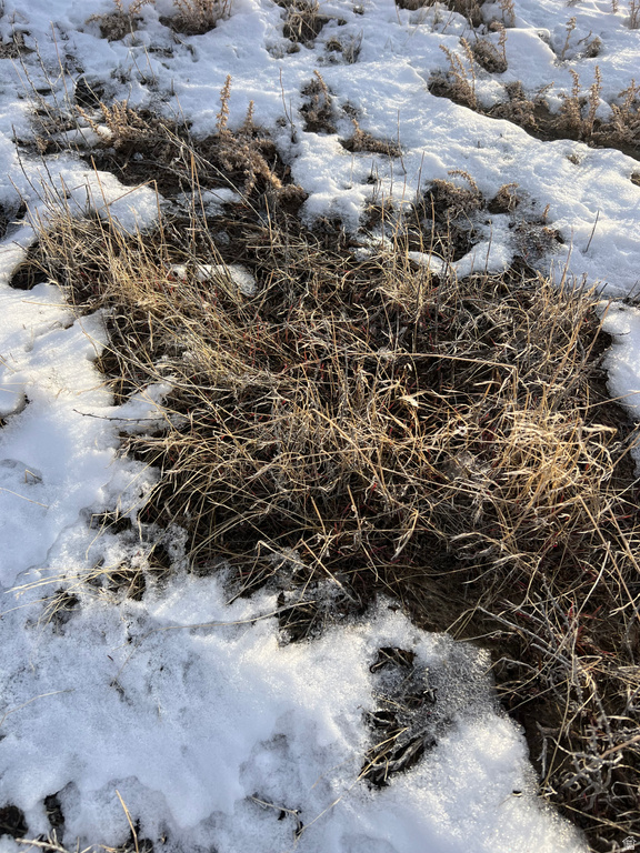 800  63600 Park Valley, UT 84329