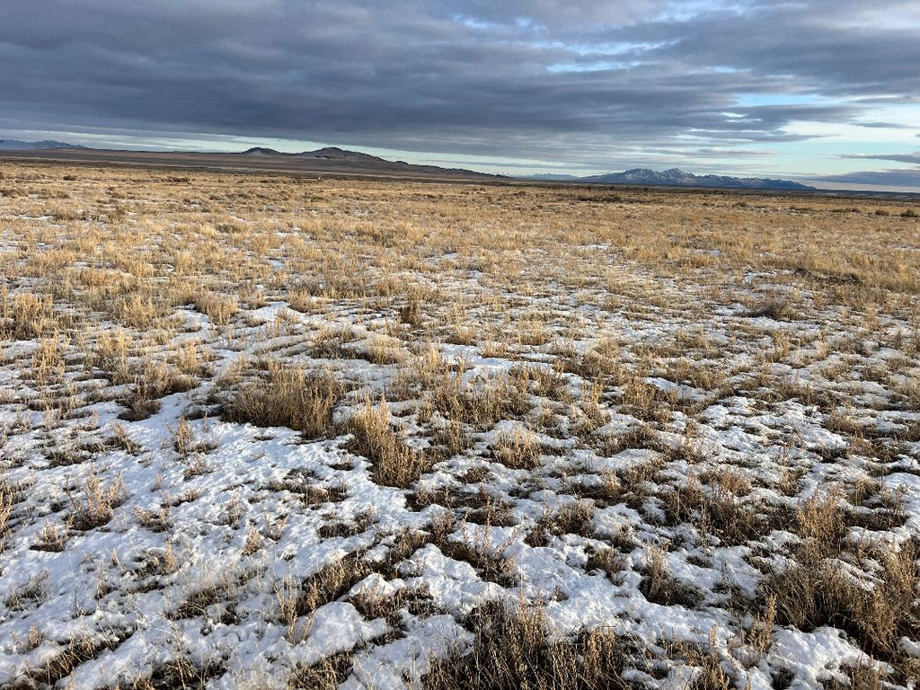 800  63600 Park Valley, UT 84329