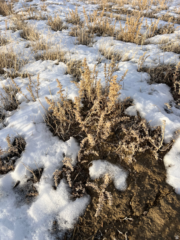 800  63600 Park Valley, UT 84329