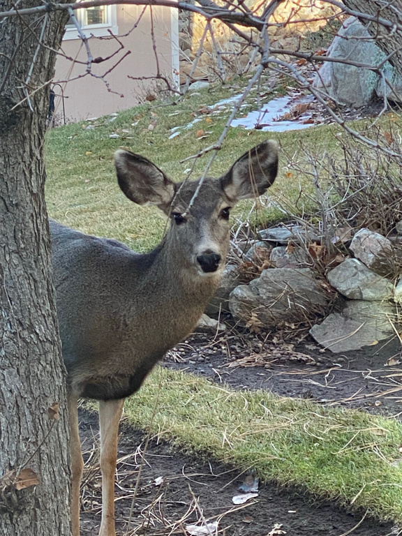 7980 S 2800 E South Weber, UT 84405