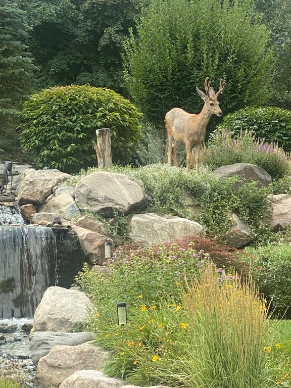 7980 S 2800 E South Weber, UT 84405