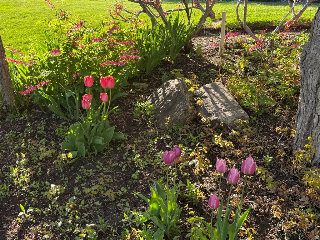 7980 S 2800 E South Weber, UT 84405