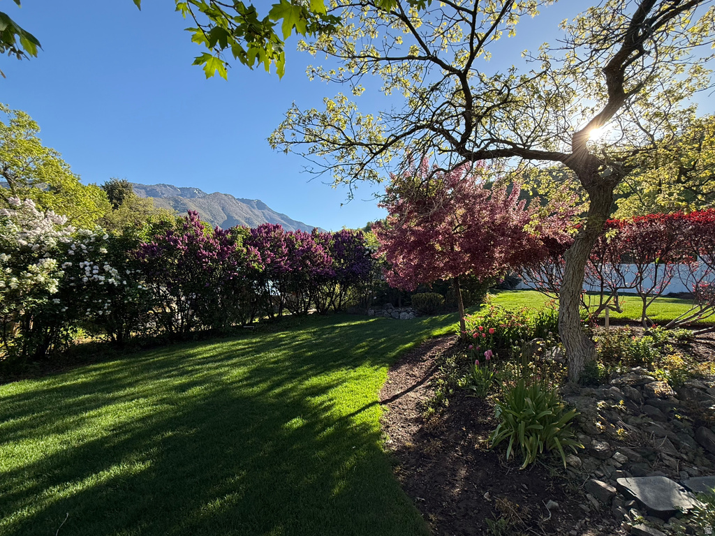 7980 S 2800 E South Weber, UT 84405