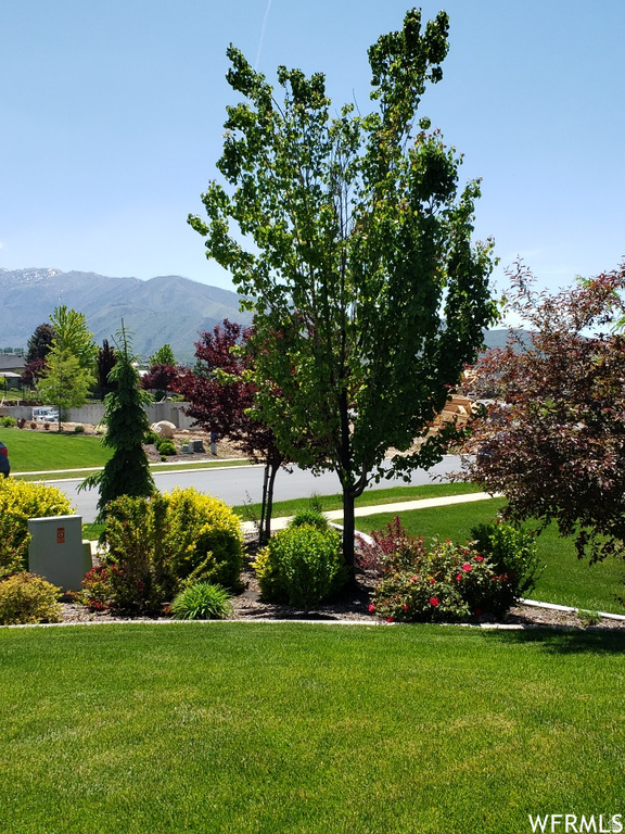 553 STRAWBERRY RD Salem, UT 84653