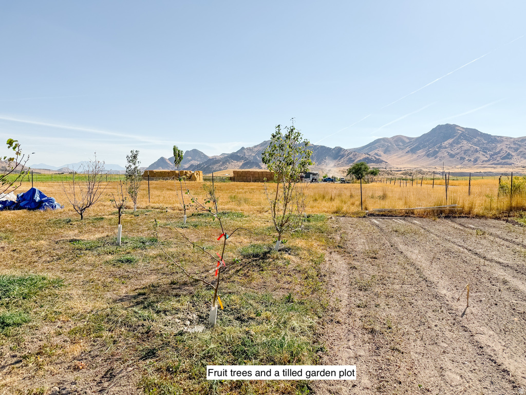  Leamington, UT 84638