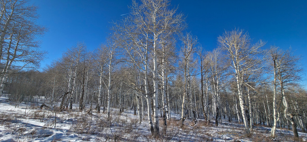  Spanish Fork, UT 84660