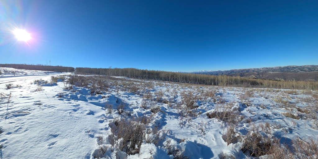  Spanish Fork, UT 84660