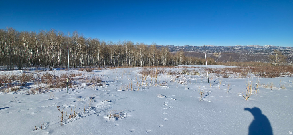  Spanish Fork, UT 84660