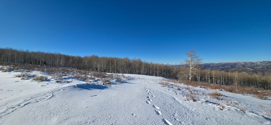  Spanish Fork, UT 84660