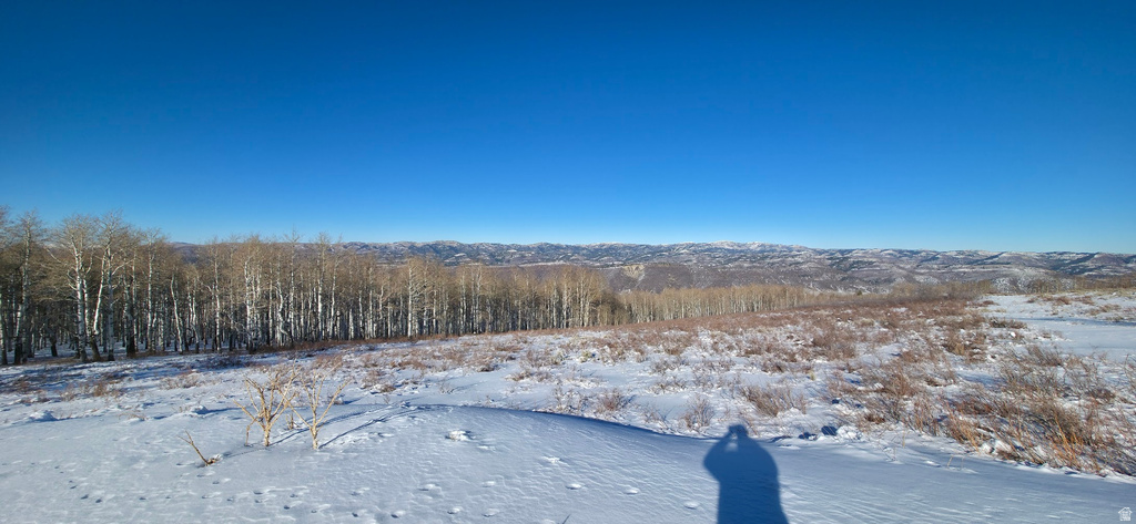  Spanish Fork, UT 84660