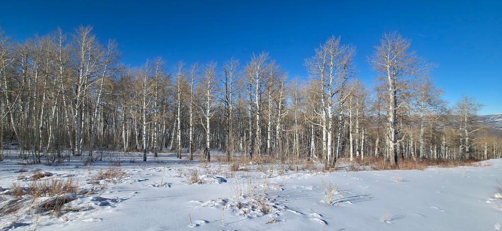  Spanish Fork, UT 84660