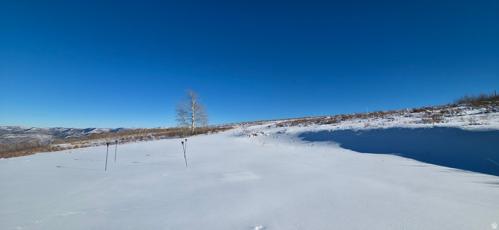  Spanish Fork, UT 84660