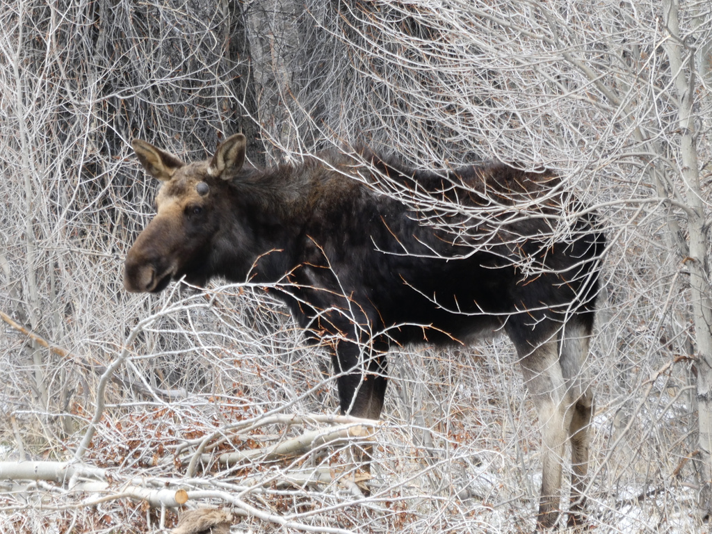 5866  MIRROR LAKE HWY Coalville, UT 84017