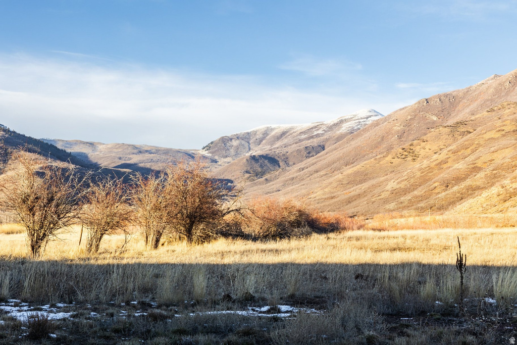 554 W 1150 N Midway, UT 84049