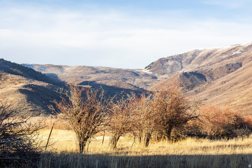 554 W 1150 N Midway, UT 84049