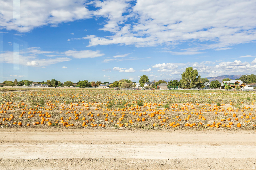 1104 W 10125 S South Jordan, UT 84095