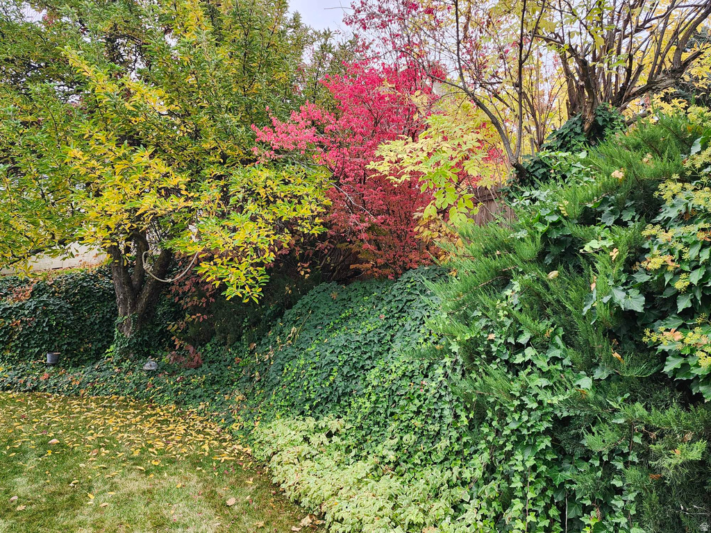 8036 S 2575 E South Weber, UT 84405