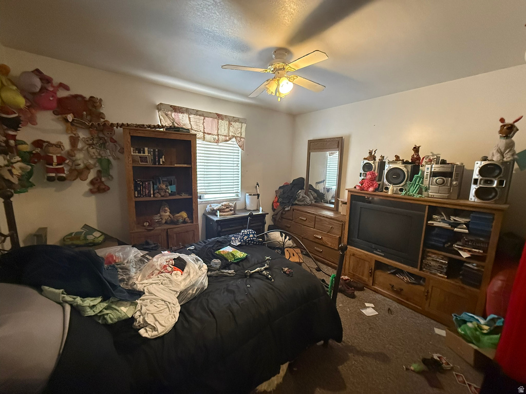 230 E 200 S Monroe, UT 84754