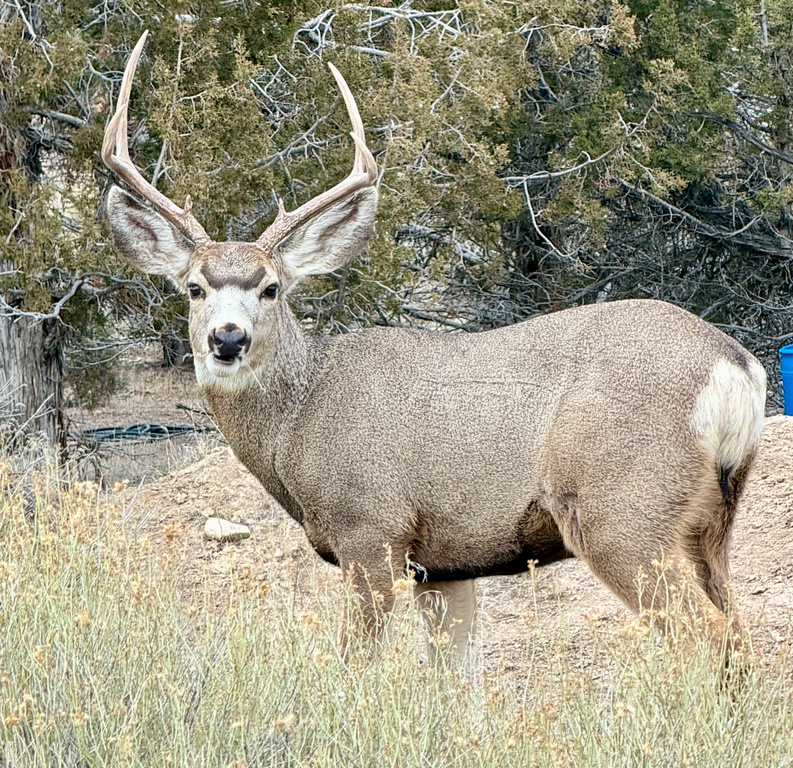 14150 N 6250 E Spring City, UT 84662