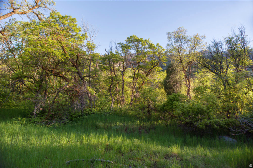 2631 N MOUNTAIN PARK Alpine, UT 84004