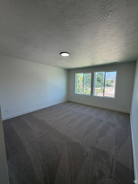 Spacious room with large windows, neutral gray carpeting, white baseboards, a flat ceiling light fixture, and textured ceilings