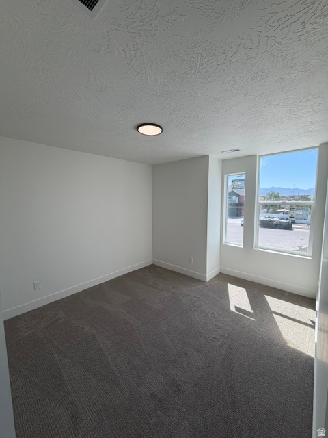 Carpeted room with a modern flush-mount ceiling light and two large windows offering mountain scenery