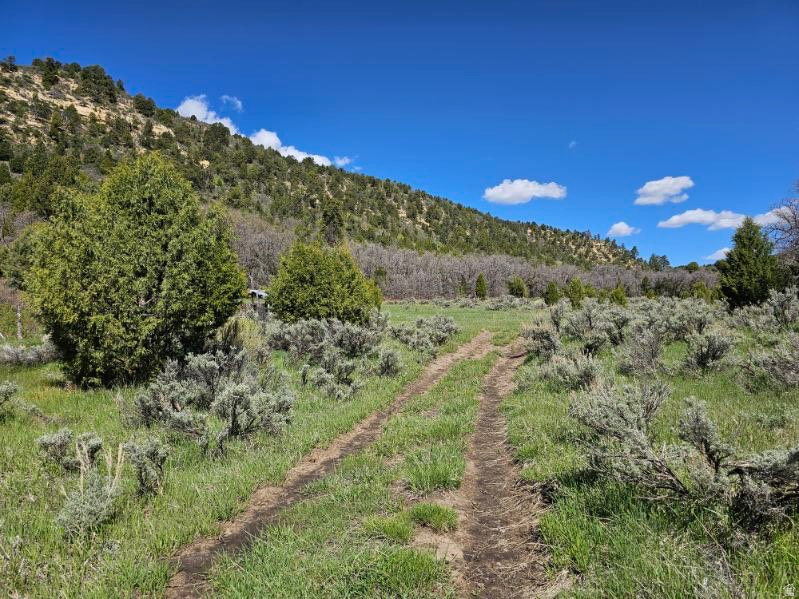  Mount Carmel, UT 84755