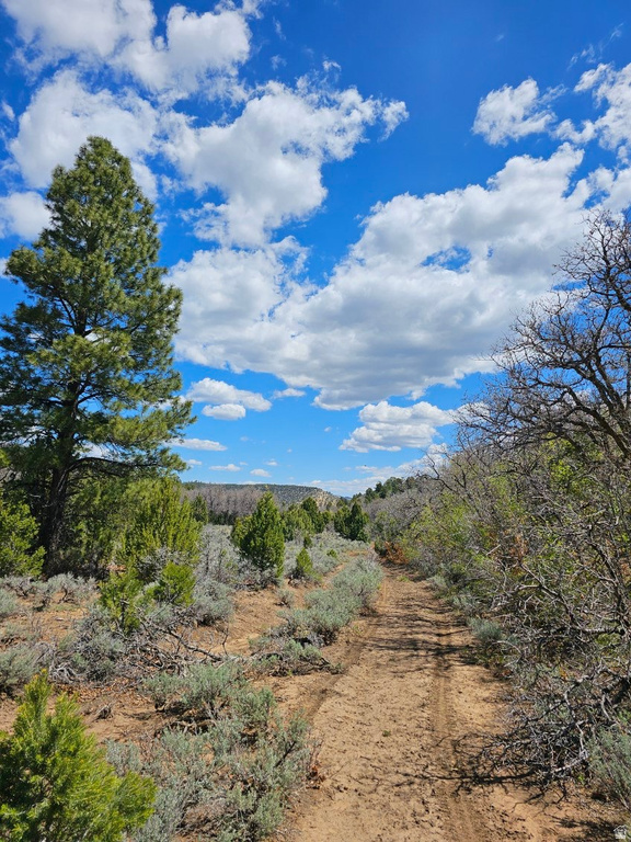  Mount Carmel, UT 84755