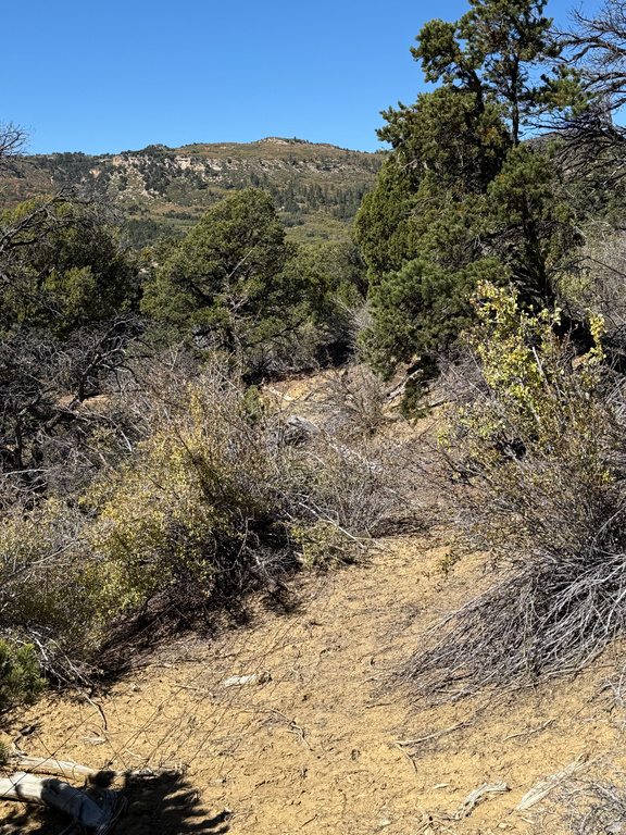  Mount Carmel, UT 84755