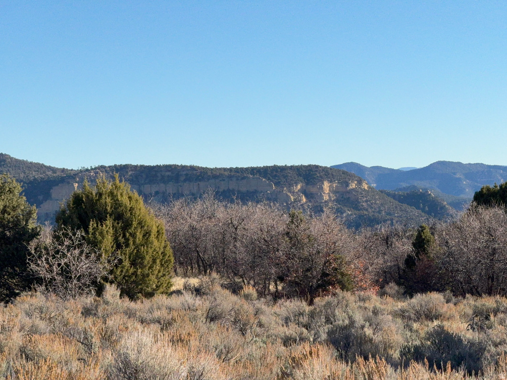  Mount Carmel, UT 84755