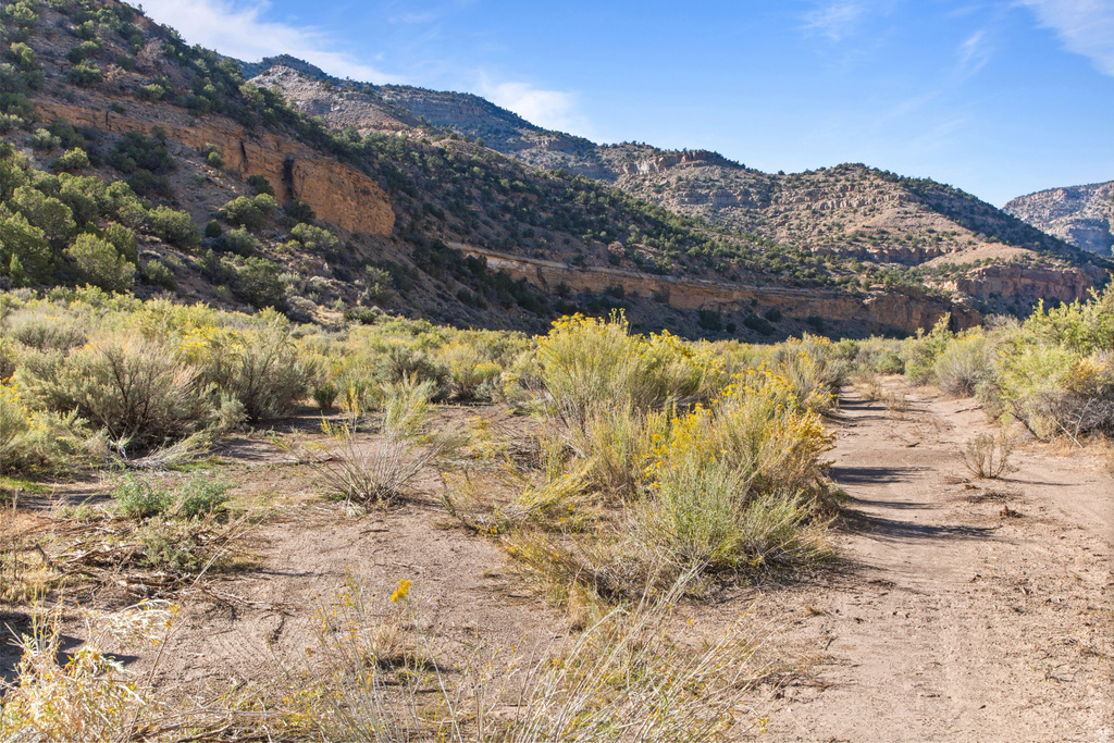 3135 N THOMPSON CYN RD Thompson, UT 84540