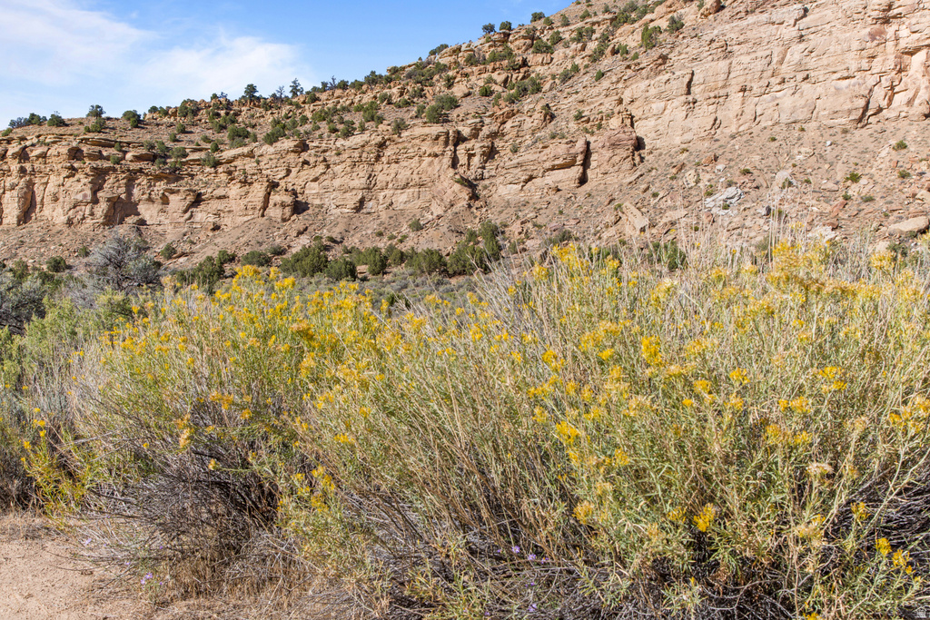 3135 N THOMPSON CYN RD Thompson, UT 84540