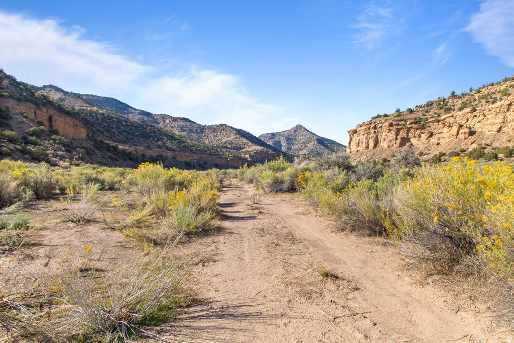 3135 N THOMPSON CYN RD Thompson, UT 84540