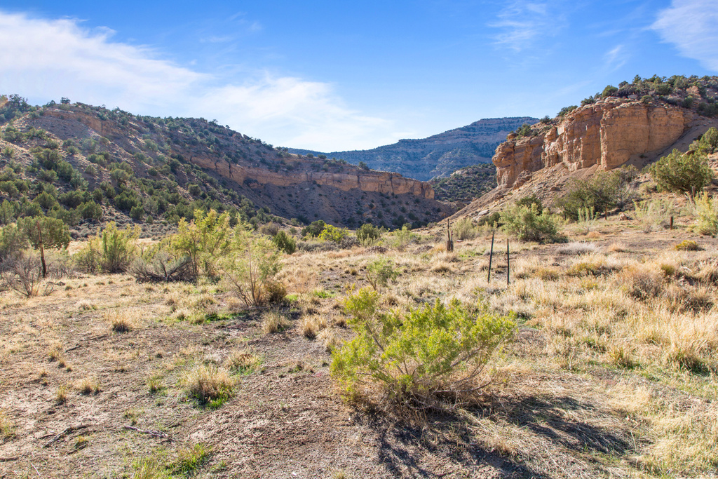 3135 N THOMPSON CYN RD Thompson, UT 84540