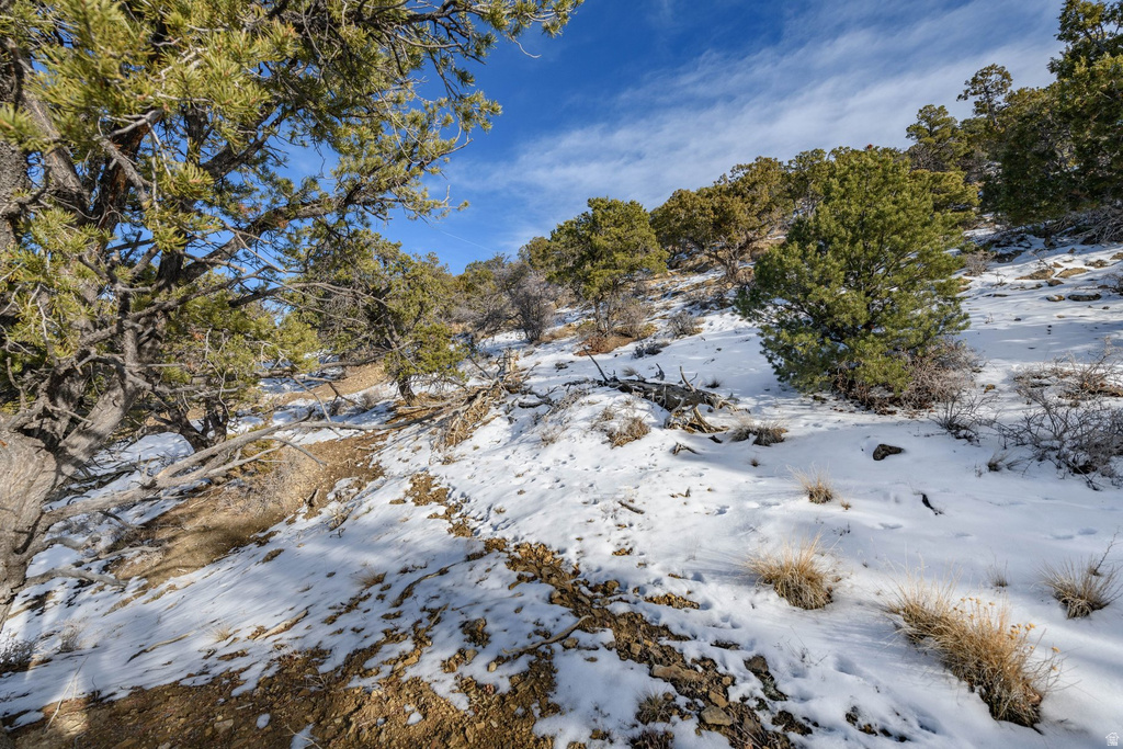 1960 N MAHOGANY CIR Cedar City, UT 84721