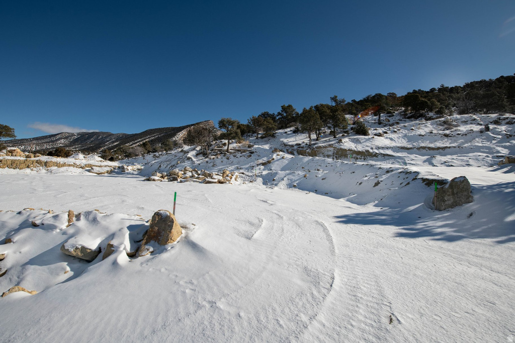 1960 N MAHOGANY CIR Cedar City, UT 84721