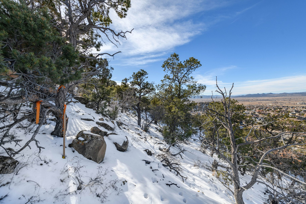 1960 N MAHOGANY CIR Cedar City, UT 84721