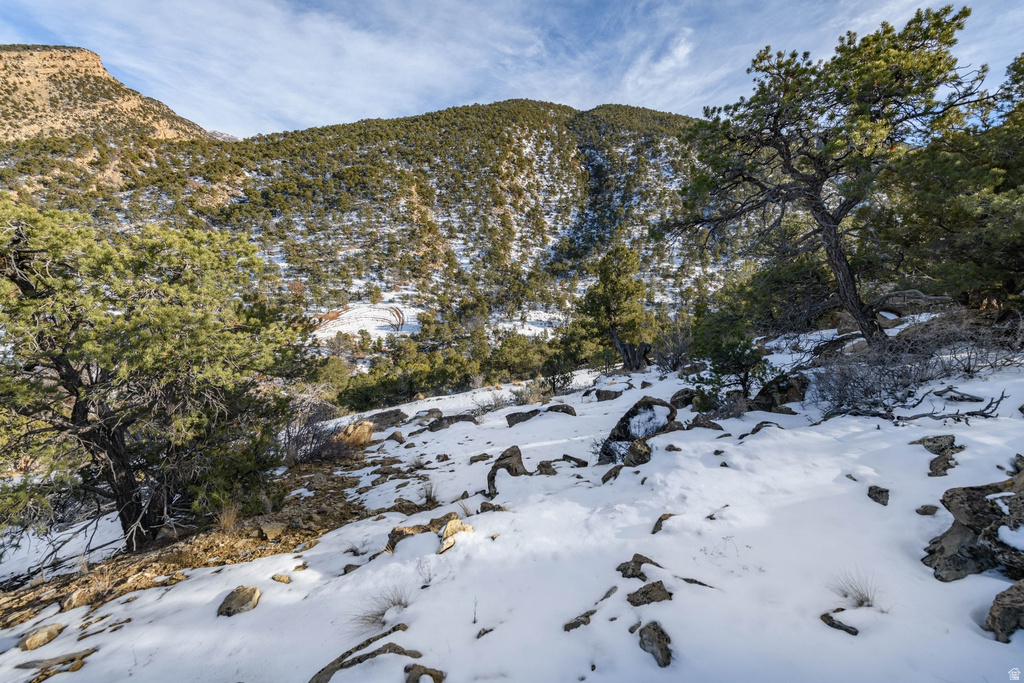 1960 N MAHOGANY CIR Cedar City, UT 84721