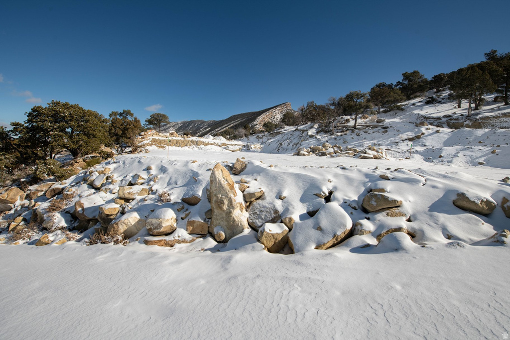 1960 N MAHOGANY CIR Cedar City, UT 84721